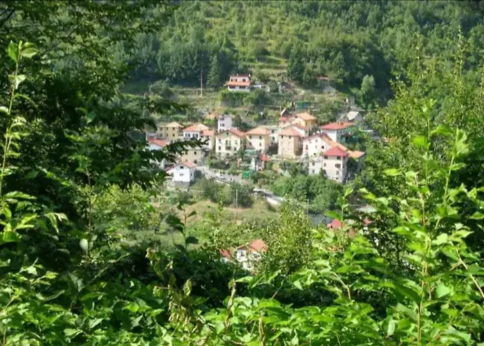 Il Non Ti Scordar Di Me