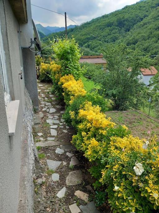 Il Non Ti Scordar Di Me